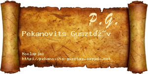 Pekanovits Gusztáv névjegykártya